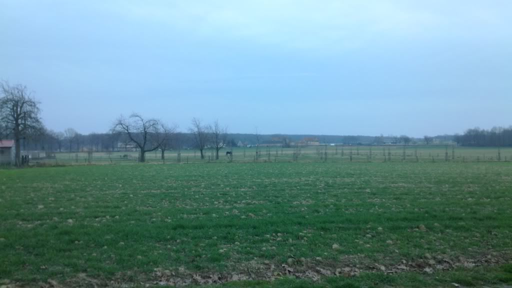 IMG_20140307_174839.jpg