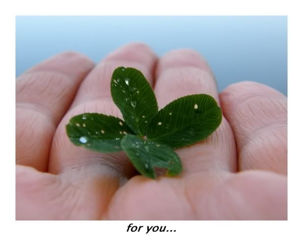 for_you.jpg for you image by nayevo