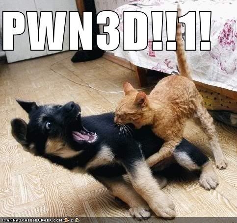 funny-pictures-cat-pwns-dog.jpg