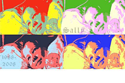 Sally12-1.jpg