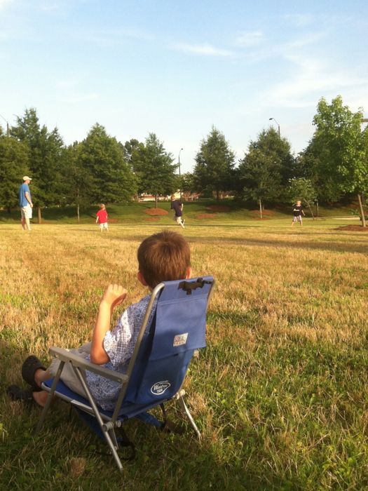 photo lincgrass1.jpg