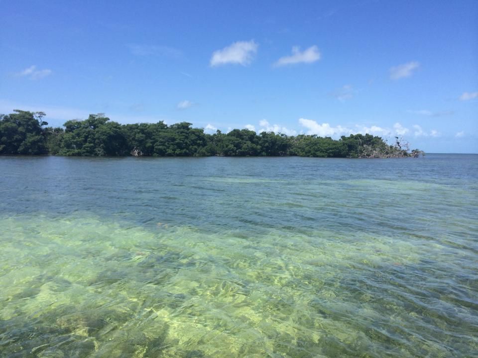 mangroveisland_zps984e463c.jpg