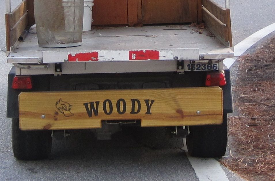 woody.jpg
