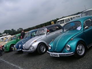 v8.jpg
