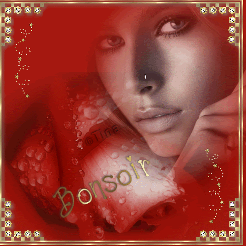 BONSOIR Pictures, Images and Photos