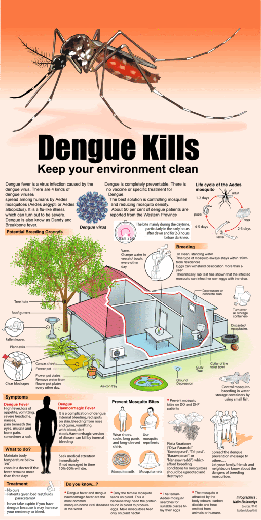 Dengue2.gif