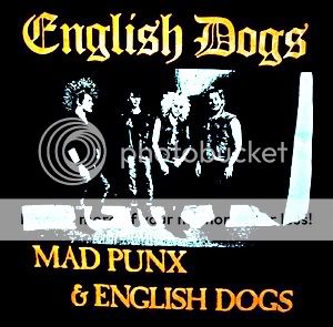 mad punx Pictures, Images and Photos