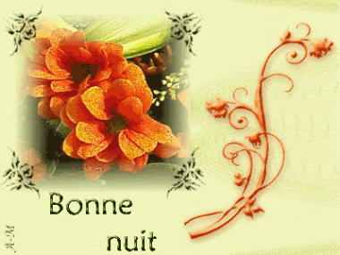 bonnuit Pictures, Images and Photos