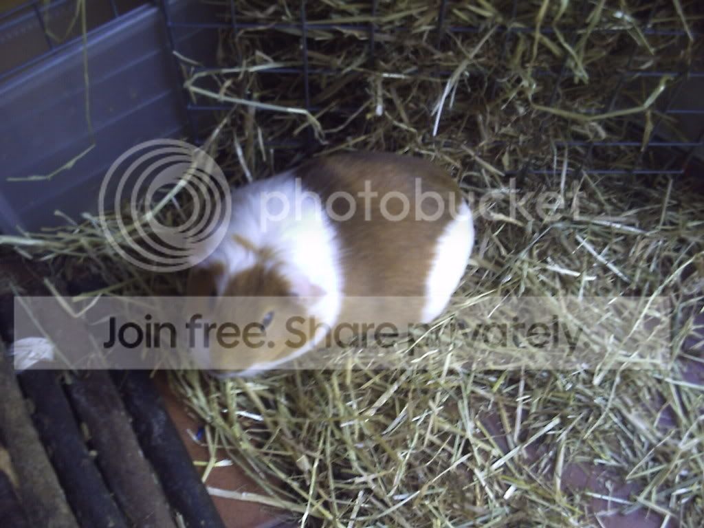 PICT0012.jpg