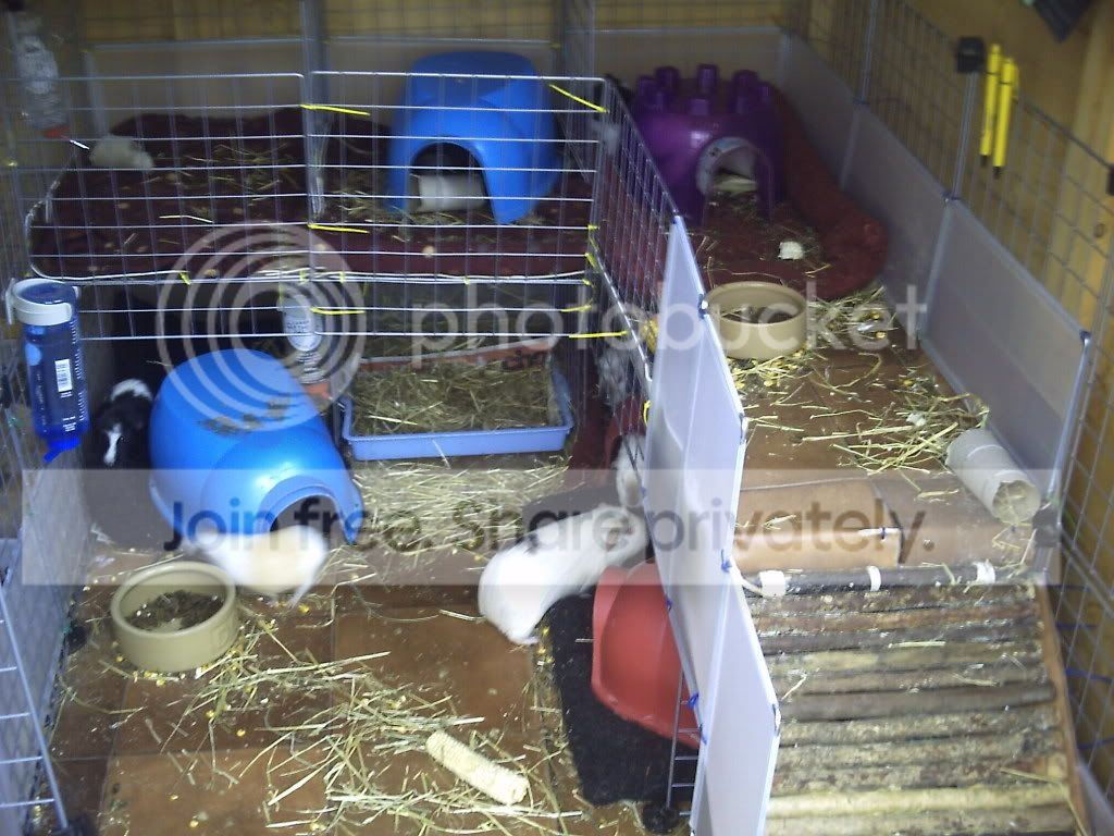 PICT0018.jpg