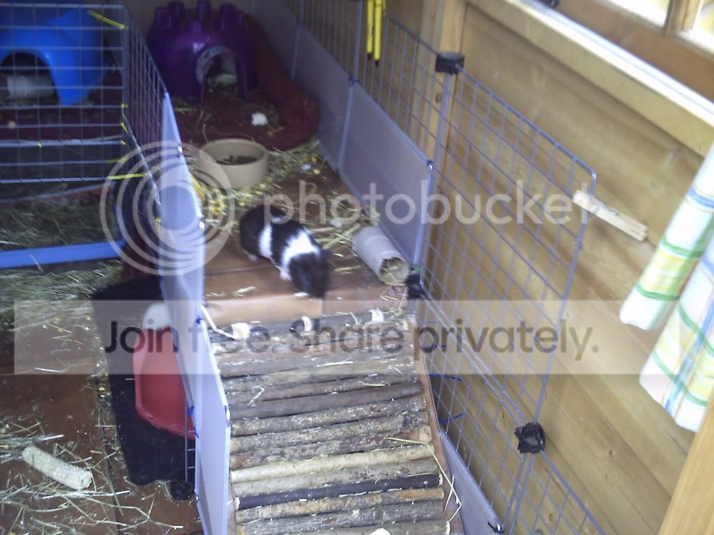 PICT0020.jpg