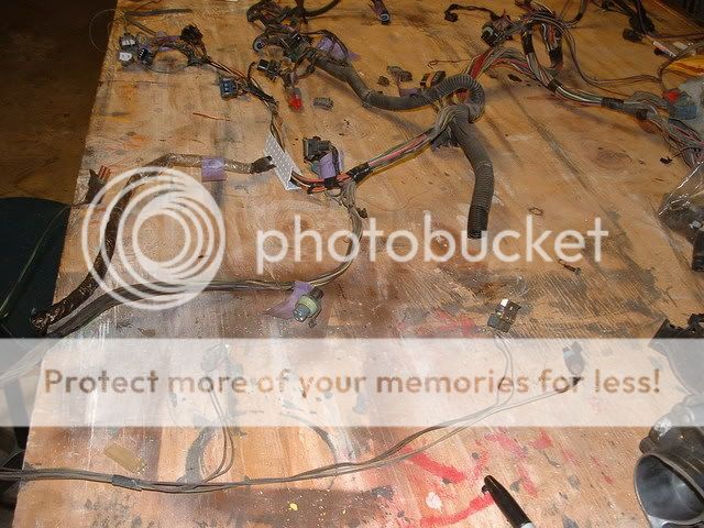 LT1 engine harness - Third Generation F-Body Message Boards