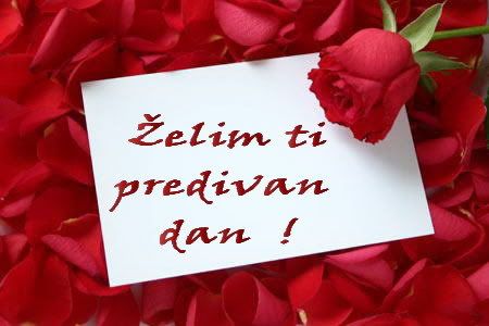 zelimtipredivandan.jpg